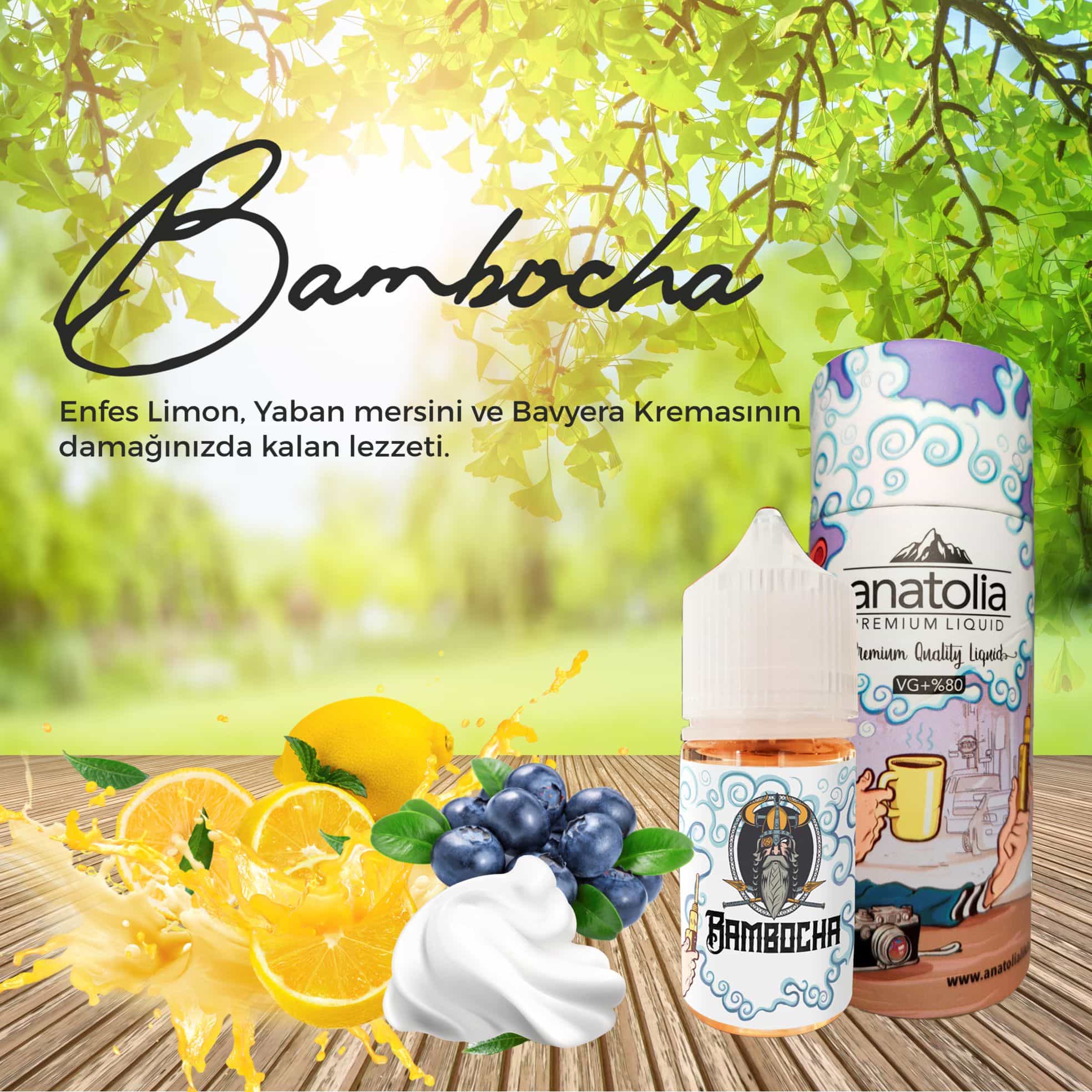 anatolia-bambocha anatolia-bambocha